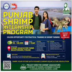  PUNJAB SHRIMP INTERNSHIP PROGRAMME 